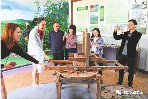 文县最新报道观点论述解析